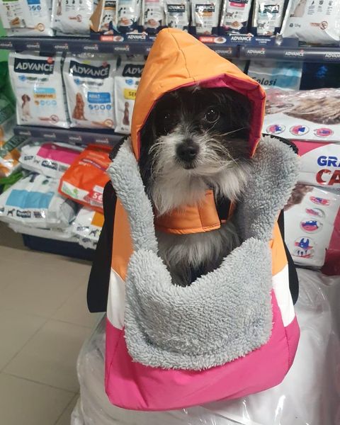 cappottini per cani